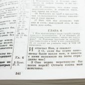 Библия каноническая 042 (Минск, с крестом)